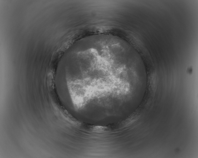 X0000116570222200912312000