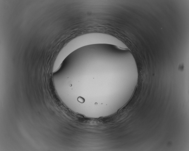 X0000116570223200912312000