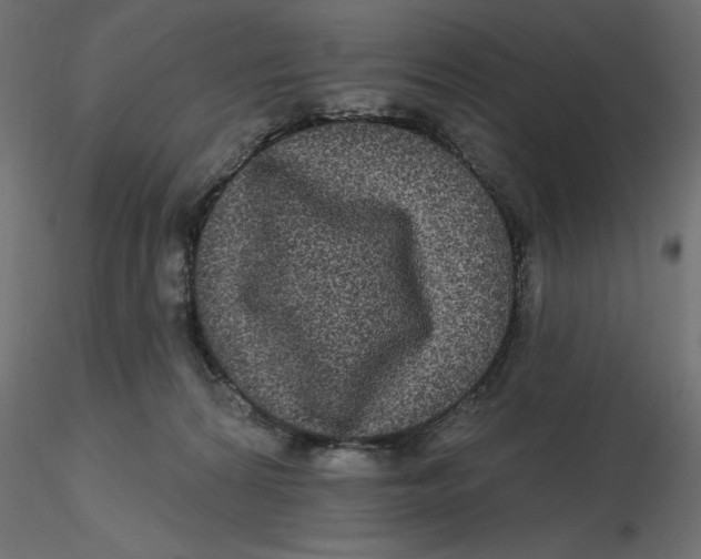 X0000116570224200912312000