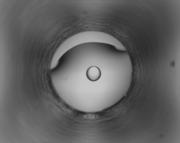 X0000116570225200912312000