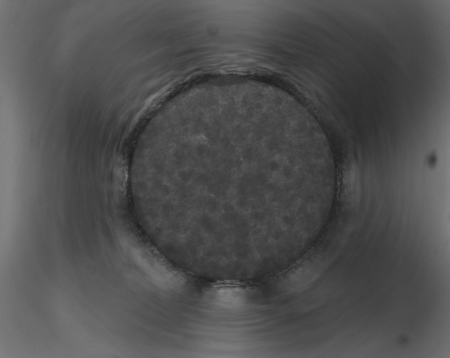 X0000116570228200912312000