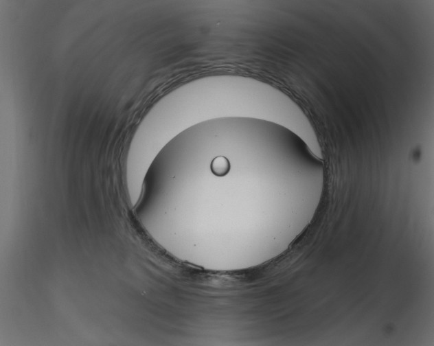 X0000116570229200912312000