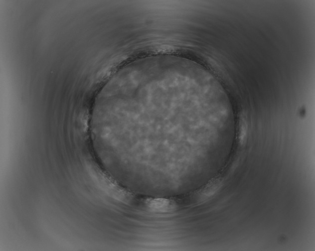 X0000116570230200912312000