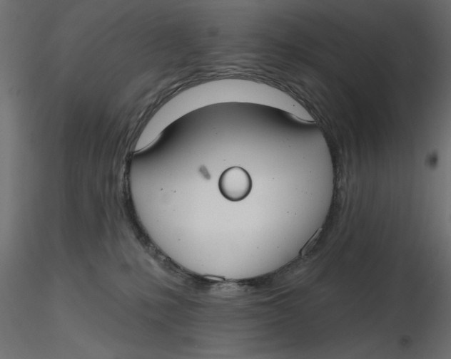 X0000116570231200912312000