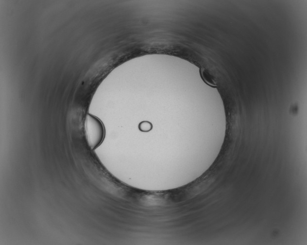 X0000116570232200912312000