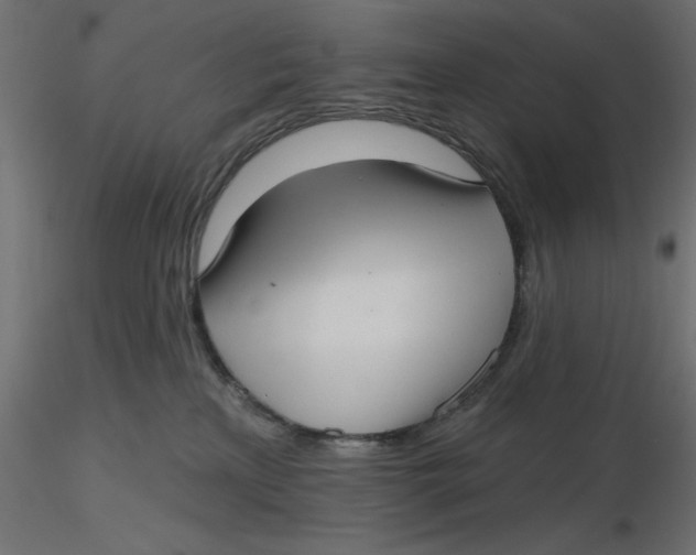 X0000116570233200912312000