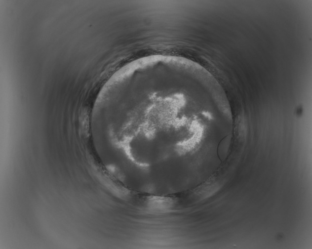 X0000116570234200912312000