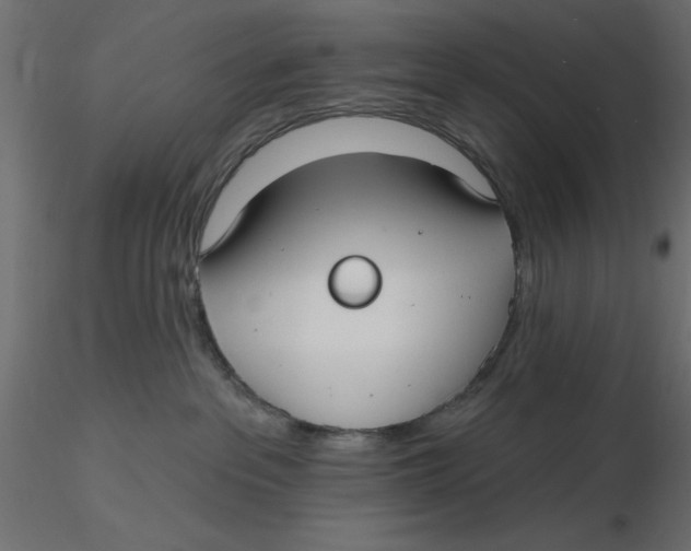 X0000116570237200912312000