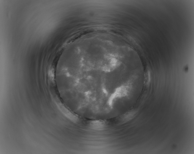 X0000116570238200912312000