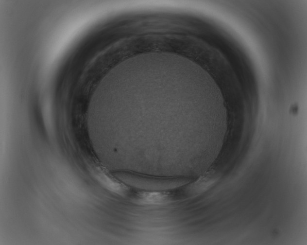 X0000116570239200912312000