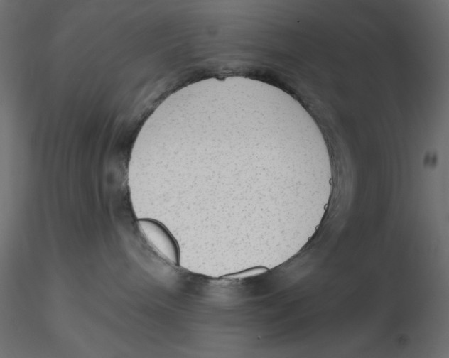 X0000116570240200912312000