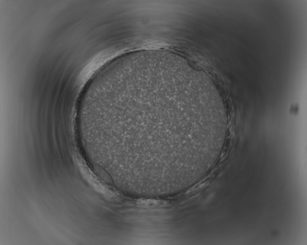 X0000116570242200912311959