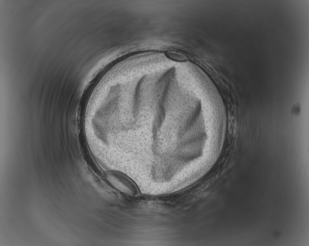 X0000116570244200912311959