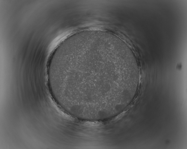 X0000116570245200912311959