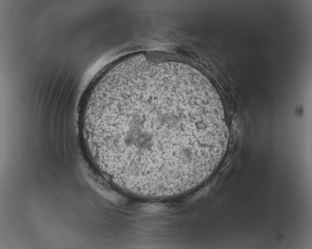 X0000116570246200912311959