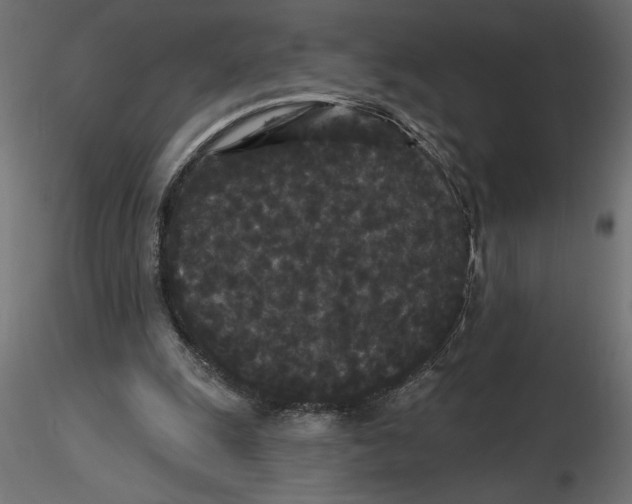 X0000116570247200912311959