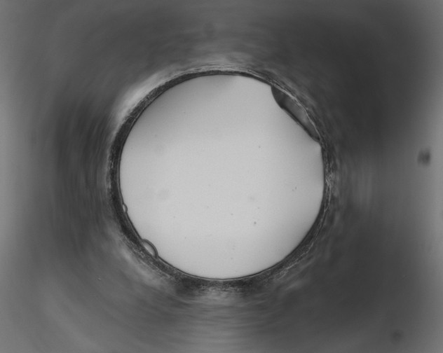 X0000116570248200912311959