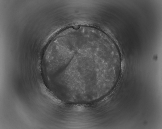 X0000116570249200912311959