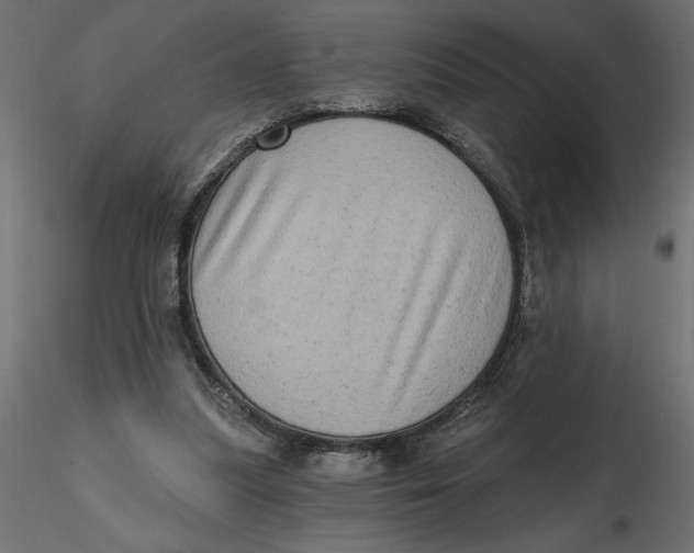 X0000116570251200912311959