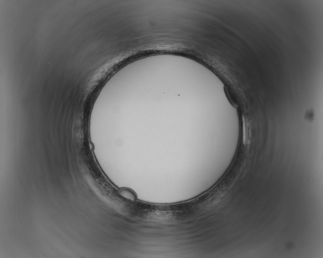 X0000116570252200912311959