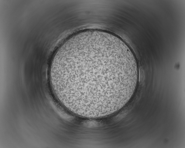 X0000116570253200912311959