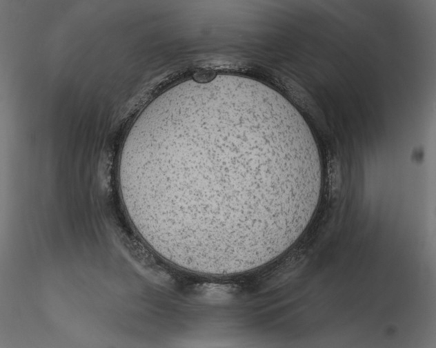 X0000116570255200912311959