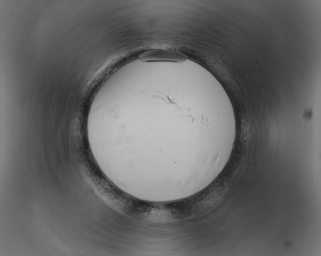 X0000116570256200912311959