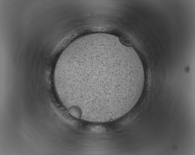 X0000116570258200912311959