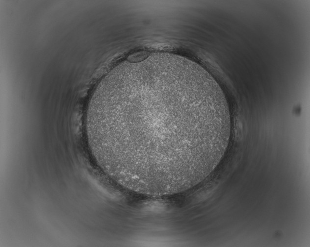 X0000116570259200912311959