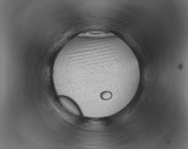 X0000116570260200912311959