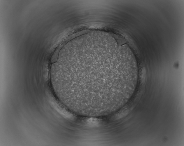 X0000116570261200912311959