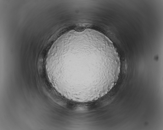 X0000116570263200912311959