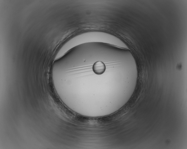 X0000116570264200912311959