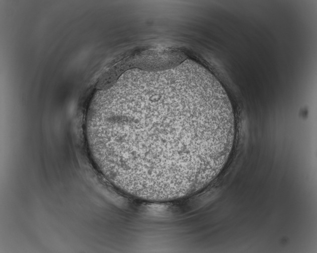 X0000116570265200912311959