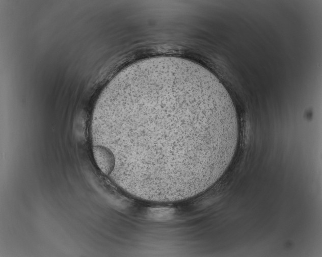 X0000116570266200912311959