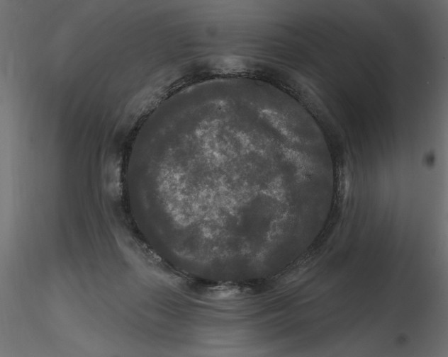 X0000116570267200912311959