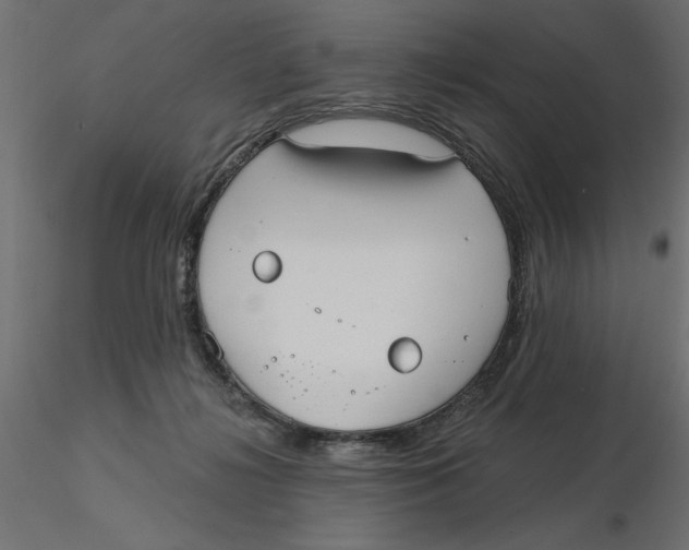 X0000116570268200912311959