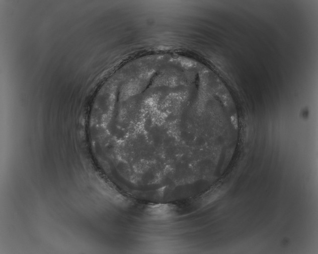 X0000116570269200912311959