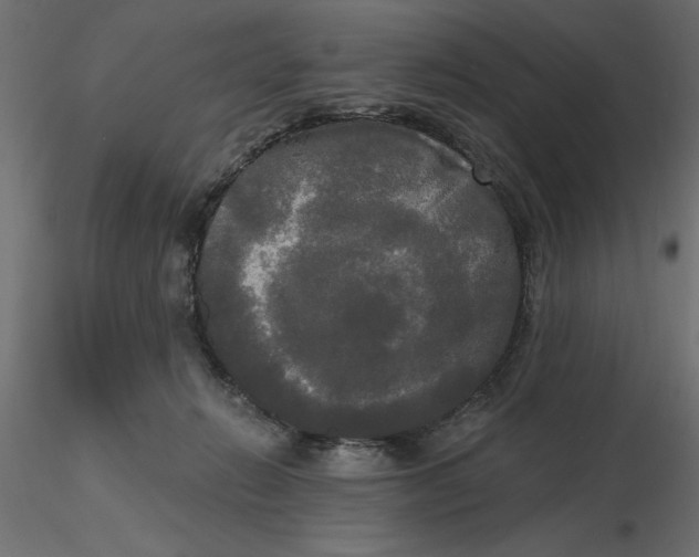 X0000116570270200912311959