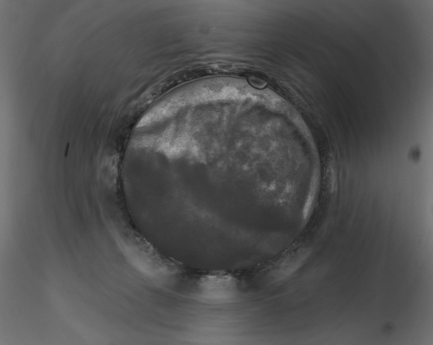 X0000116570271200912311959