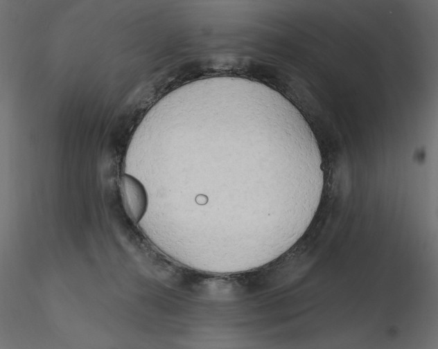 X0000116570272200912312000