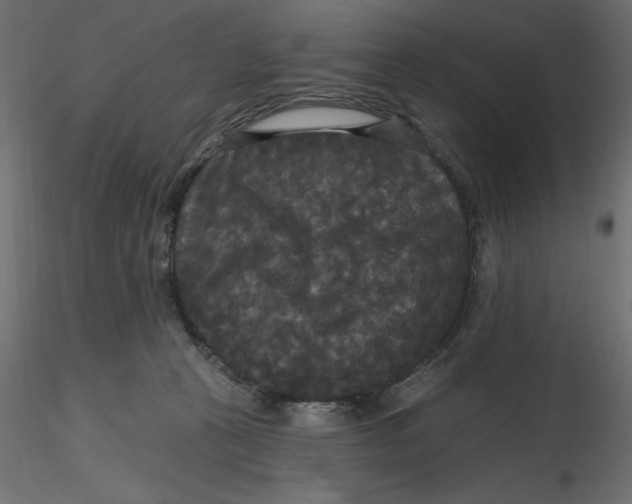 X0000116570273200912312000