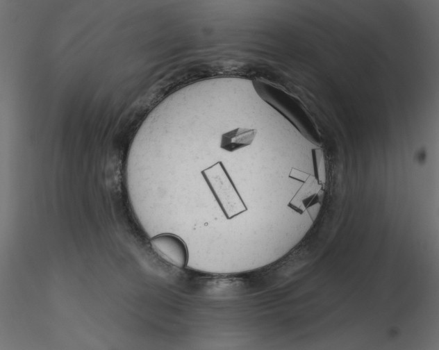 X0000116570274200912312000