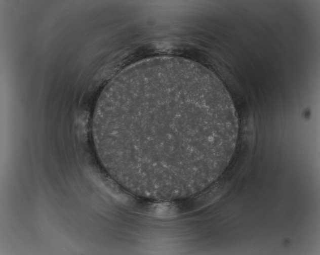 X0000116570275200912312000