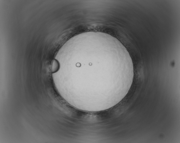 X0000116570276200912312000