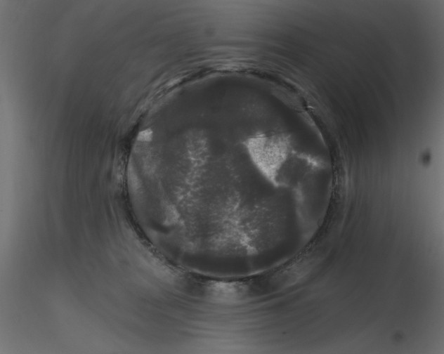 X0000116570277200912312000