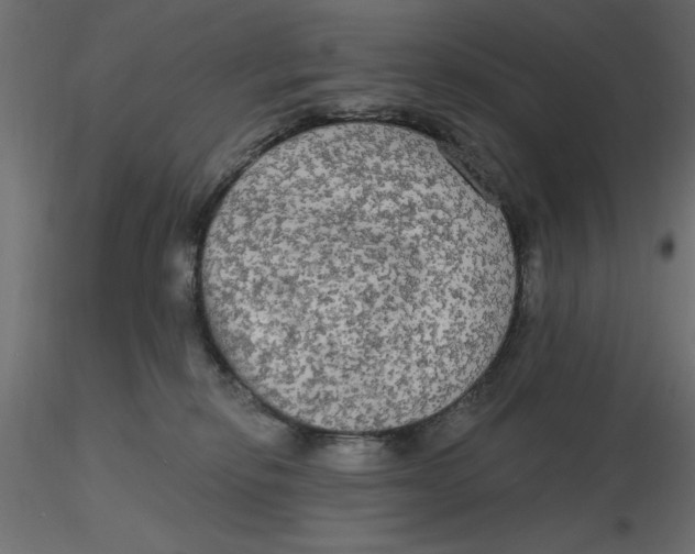 X0000116570278200912312000