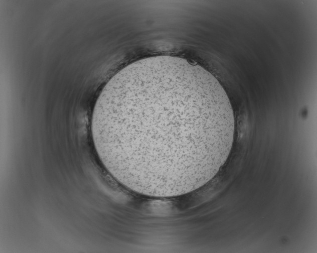 X0000116570279200912312000