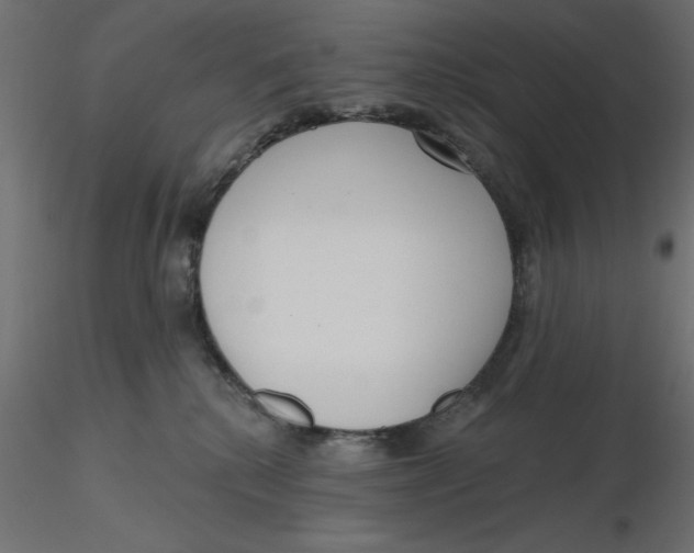 X0000116570280200912312000