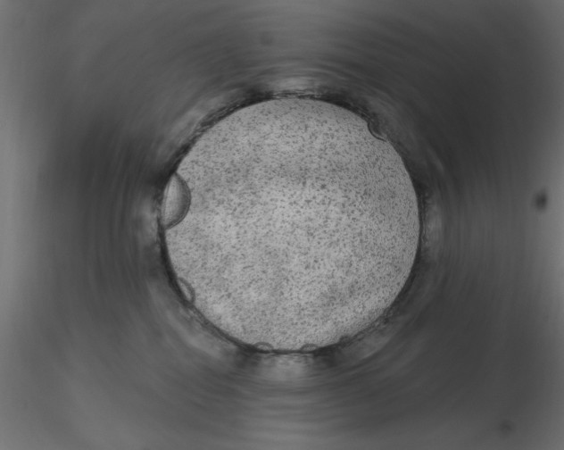 X0000116570282200912312000